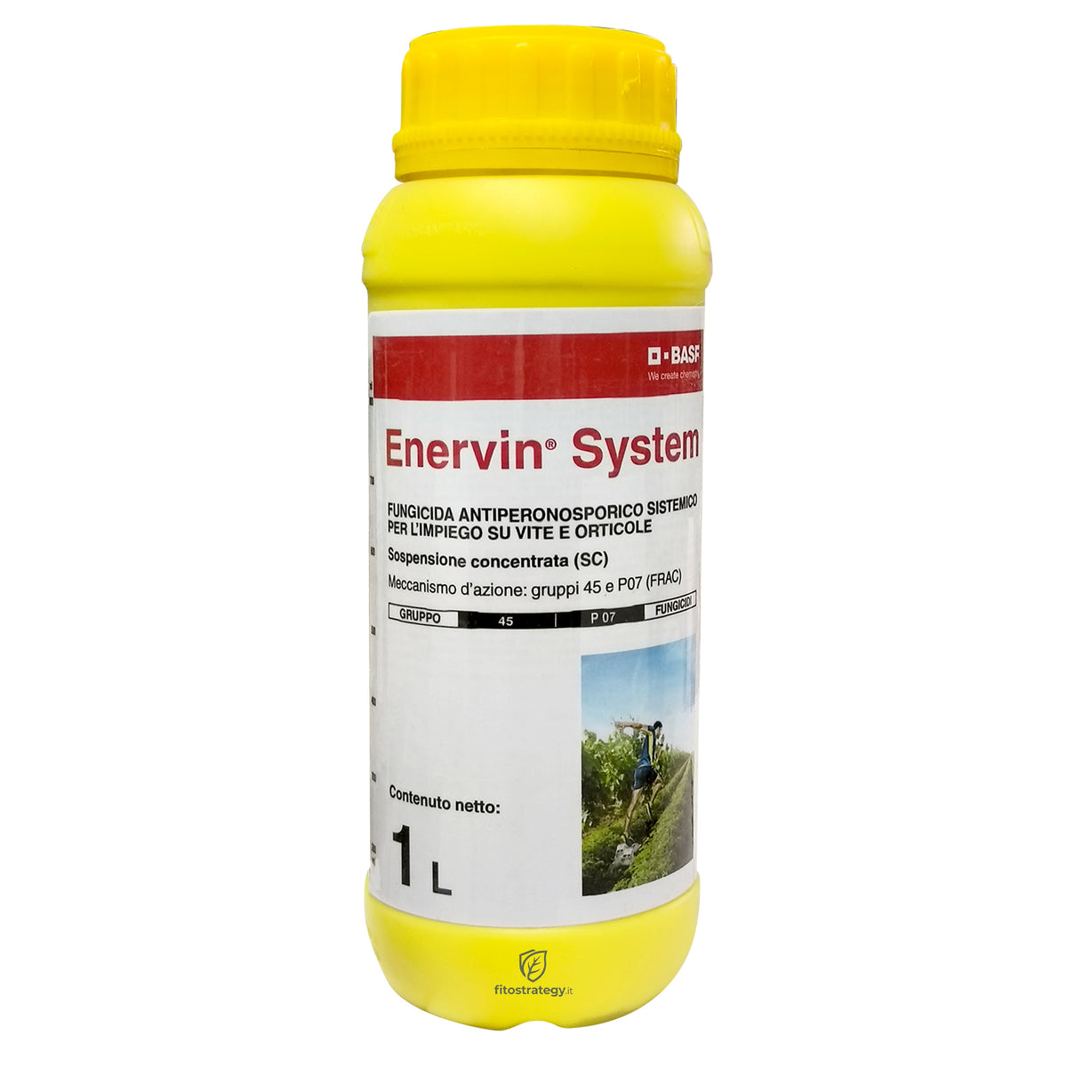 Enervin System 1Lt Fungicida Sistemico BASF per controllo Peronospora della Vite