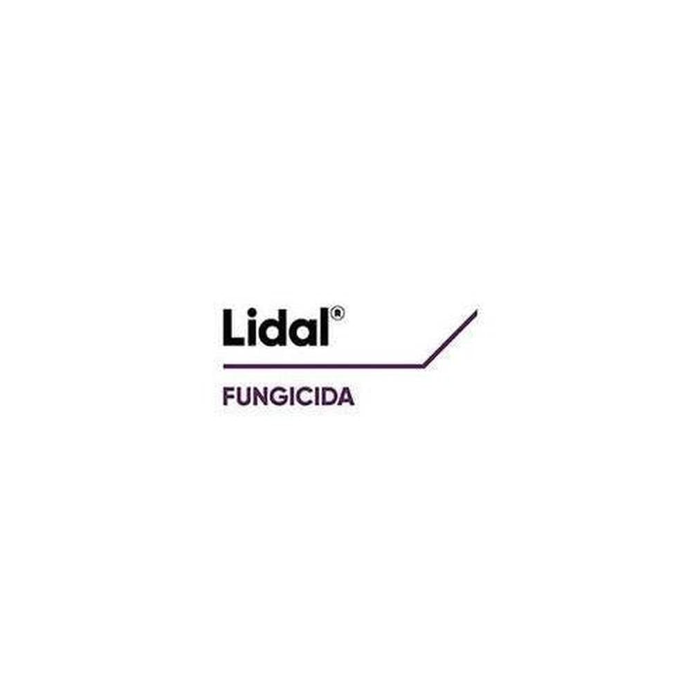 Lidal 1 Lt Corteva Fungicida Sistemico Microemulsione Tetraconazolo per Cereali e Vite