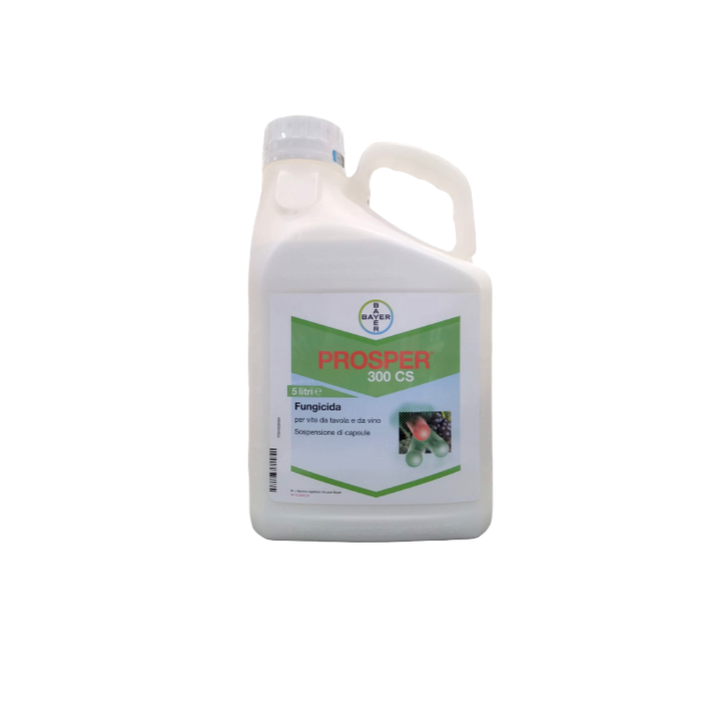 Prosper 300 CS 1-5 Lt Bayer Fungicida Antioidico Vite Spiroxamina 300 g/l