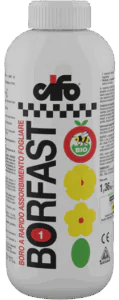 Borfast Cifo Concime Liquido a base di Boro per Fioritura e Allegagione