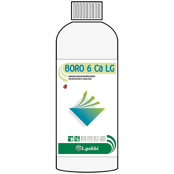 Boro 6 Ca LG L. Gobbi Concime Liquido con Boro e Calcio per Allegagione e Sviluppo 1 Lt