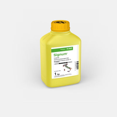 Signum Fungicida BASF: Efficacia ad Ampio Spettro per Frutticole e Orticole