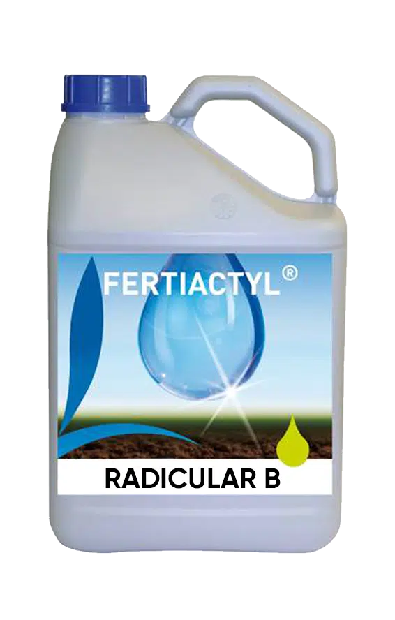 RADICULAR B Miscela di microelementi fluida Boro, etanolammina, manganese EDTA con attivatore