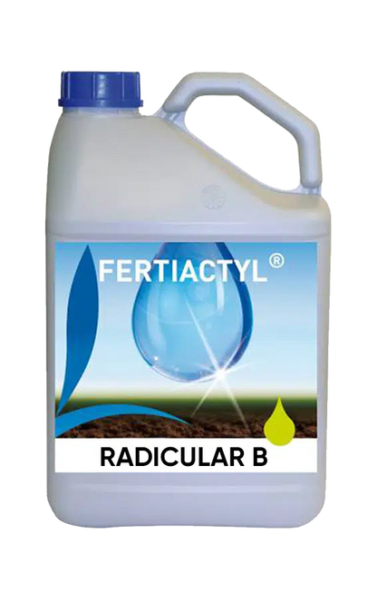 RADICULAR B Miscela di microelementi fluida Boro, etanolammina, manganese EDTA con attivatore