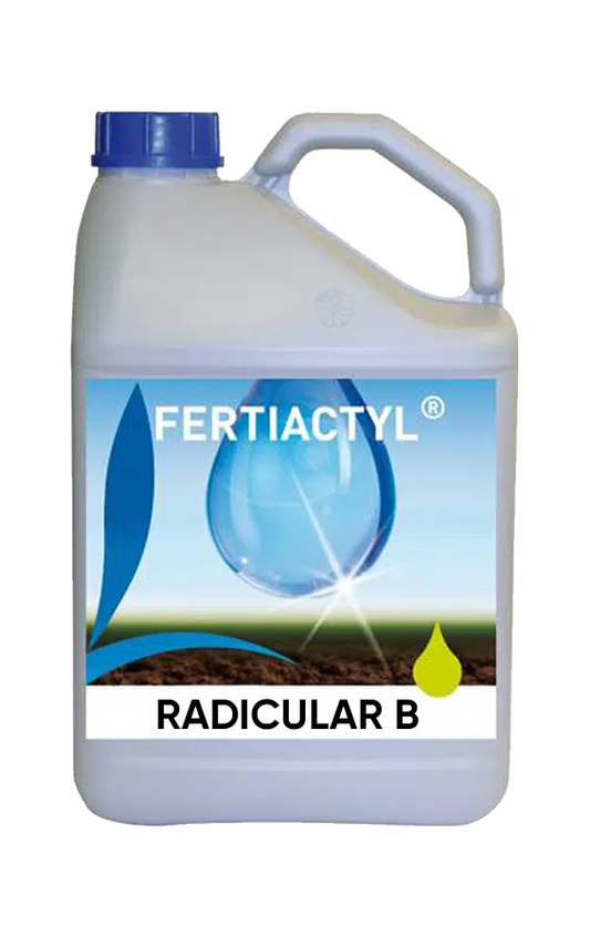 RADICULAR B Miscela di microelementi fluida Boro, etanolammina, manganese EDTA con attivatore