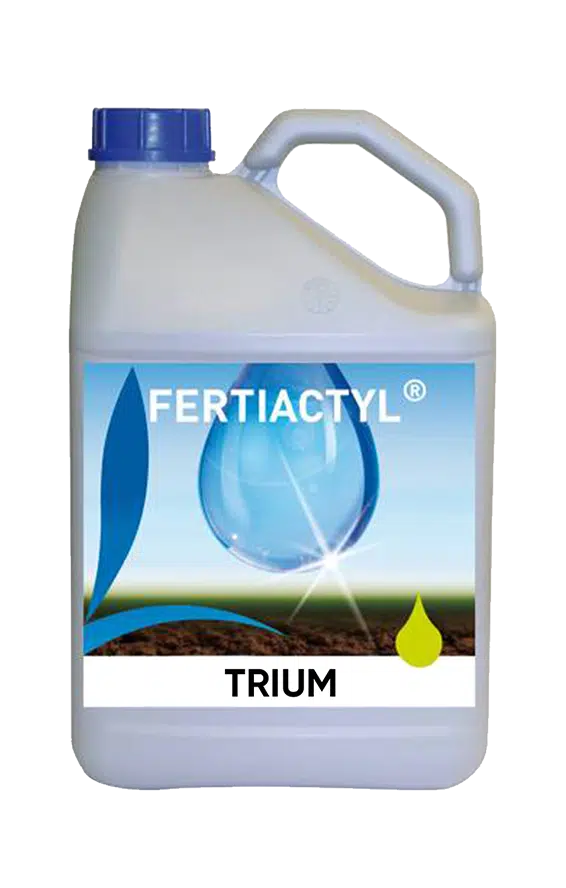 TRIUM Concime minerale composto Soluzione di concime NPK con microelementi con attivatore