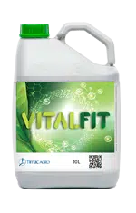 VITALFIT Concime minerale composto Soluzione di concime NP con microelementi con attivatore