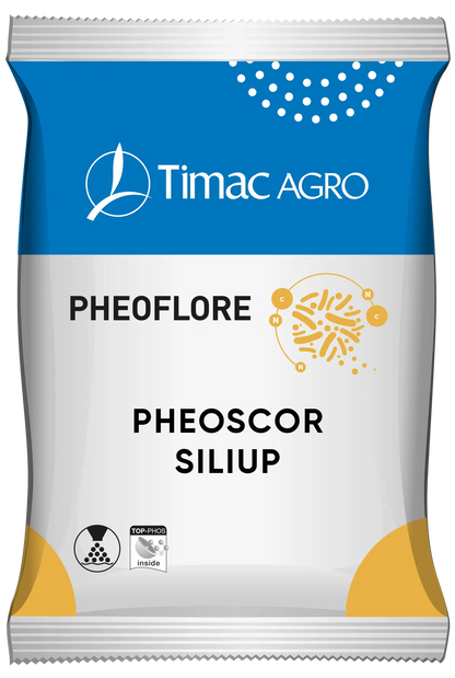 PHEOSCOR SILIUP CONCIME MINERALE SEMPLICE Sali misti fosfatici (CaO-MgO-SO3) con microelementi e con attivatore